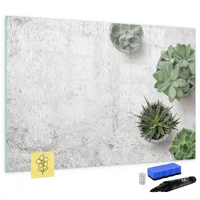 Magnetic glass dry erase board decorative plants