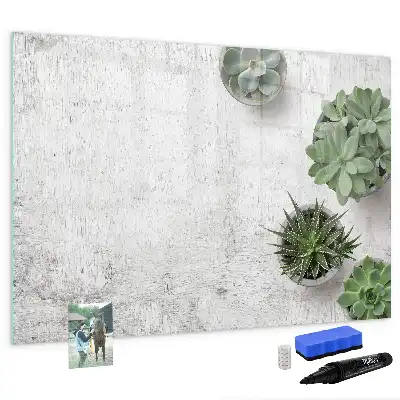 Magnetic glass dry erase board decorative plants