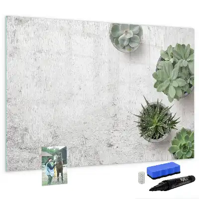 Magnetic glass dry erase board decorative plants