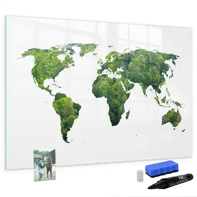 Eco world map magnetic marker board