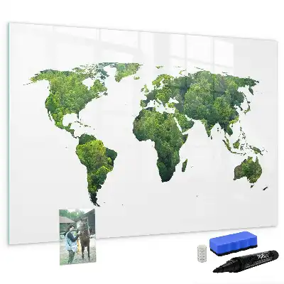 Eco world map magnetic marker board
