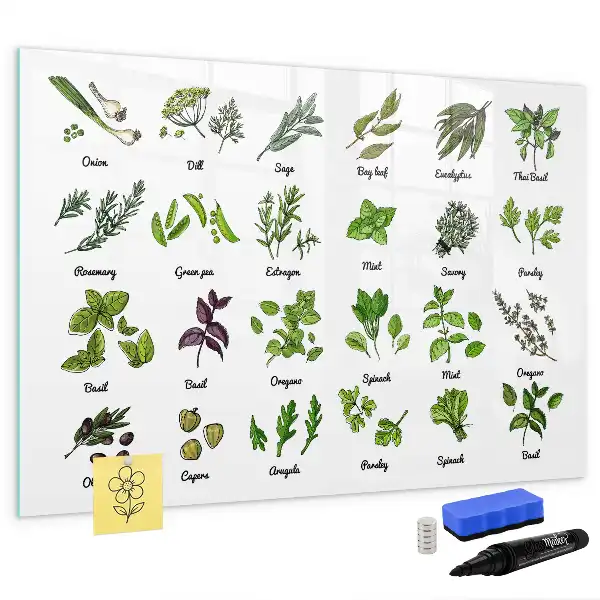 Magnetic marker board tree species theme
