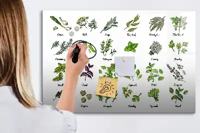 Magnetic marker board tree species theme