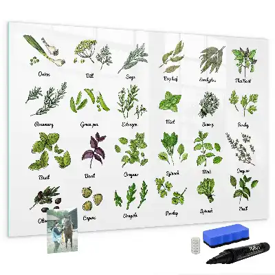 Magnetic marker board tree species theme