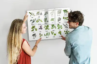 Magnetic marker board tree species theme