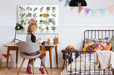 Magnetic marker board tree species theme