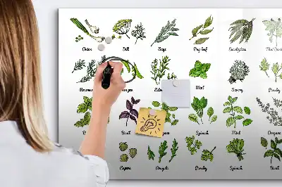 Magnetic marker board tree species theme