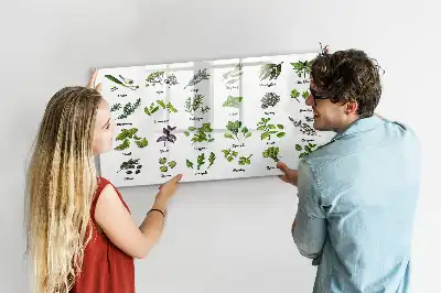 Magnetic marker board tree species theme