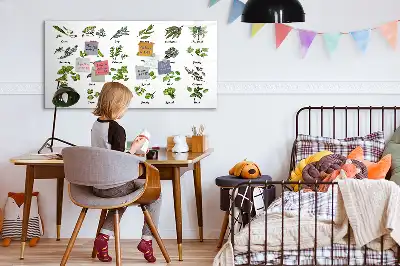 Magnetic marker board tree species theme