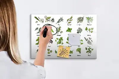 Magnetic marker board tree species theme