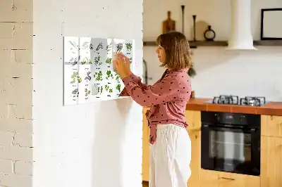 Magnetic marker board tree species theme
