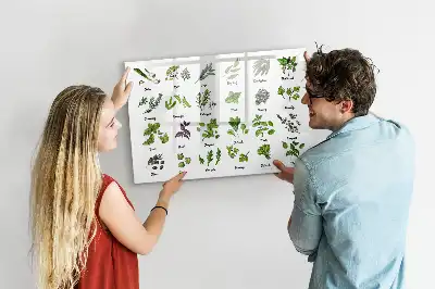 Magnetic marker board tree species theme