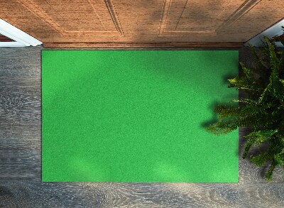 Doormat Grass