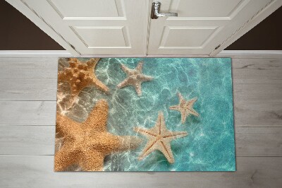 Door mat indoor Starling