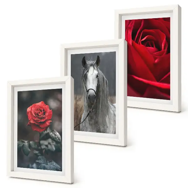 3-piece wall art set featuring red roses and a horse in a gray setting