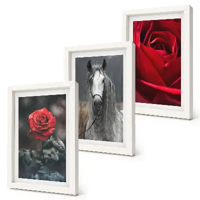 3-piece wall art set featuring red roses and a horse in a gray setting