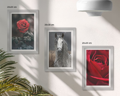 3-piece wall art set Red roses and a horse in a gray setting