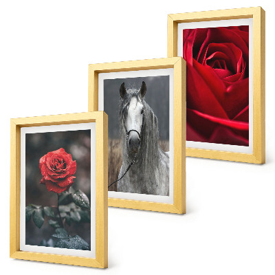 3-piece wall art set Red roses and a horse in a gray setting