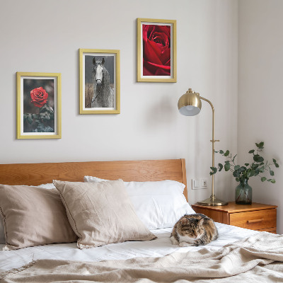 3-piece wall art set Red roses and a horse in a gray setting