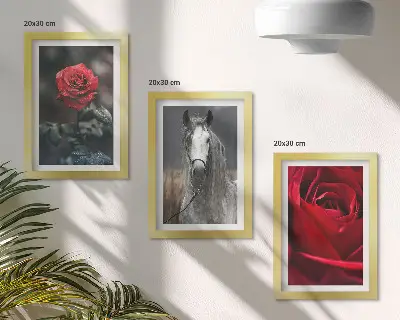 3-piece wall art set featuring red roses and a horse in a gray setting