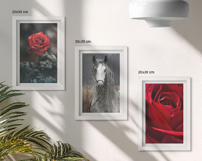 3-piece wall art set Red roses and a horse in a gray setting