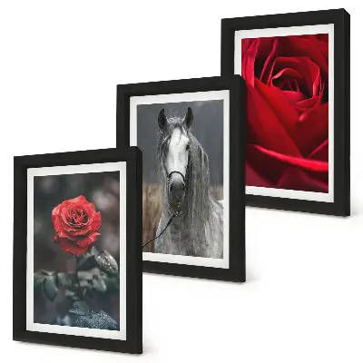3-piece wall art set featuring red roses and a horse in a gray setting