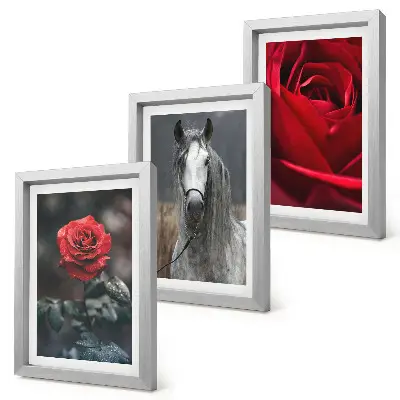 3-piece wall art set featuring red roses and a horse in a gray setting