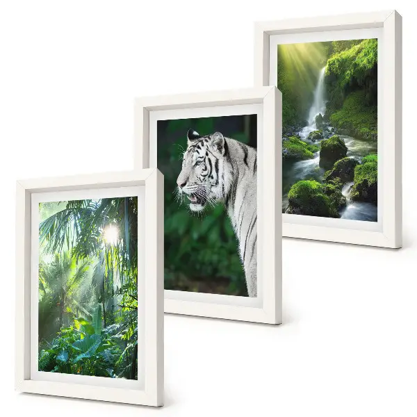 3-piece wall art set featuring a jungle landscape with a white tiger and a wild waterfall