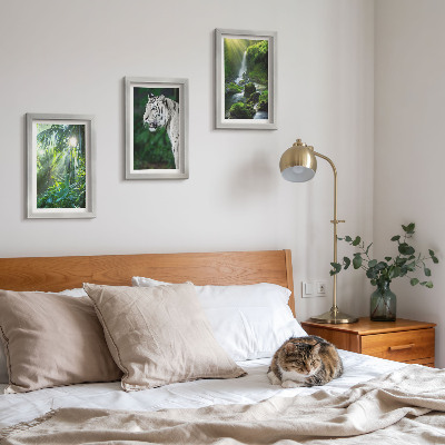 3-piece wall art set Jungle with a white tiger and a wild waterfall