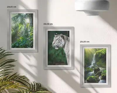 3-piece wall art set featuring a jungle landscape with a white tiger and a wild waterfall