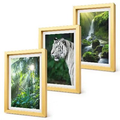 3-piece wall art set featuring a jungle landscape with a white tiger and a wild waterfall