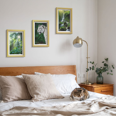 3-piece wall art set Jungle with a white tiger and a wild waterfall