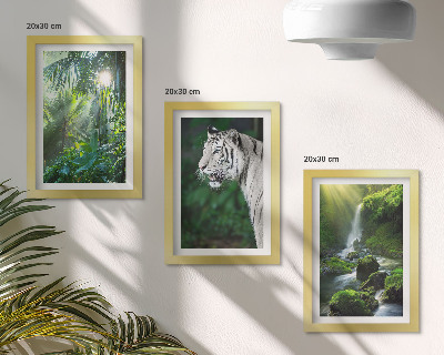 3-piece wall art set Jungle with a white tiger and a wild waterfall