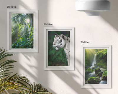 3-piece wall art set Jungle with a white tiger and a wild waterfall
