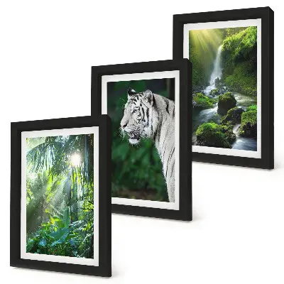 3-piece wall art set featuring a jungle landscape with a white tiger and a wild waterfall