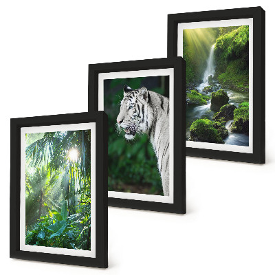 3-piece wall art set Jungle with a white tiger and a wild waterfall