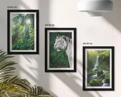 3-piece wall art set featuring a jungle landscape with a white tiger and a wild waterfall