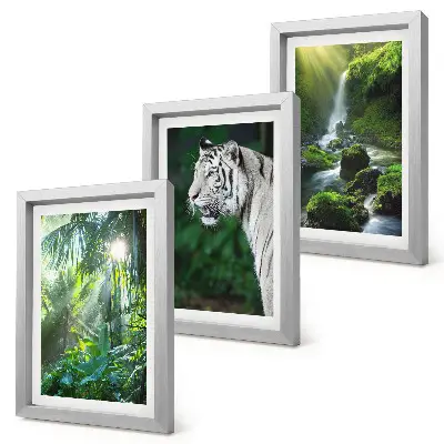 3-piece wall art set featuring a jungle landscape with a white tiger and a wild waterfall