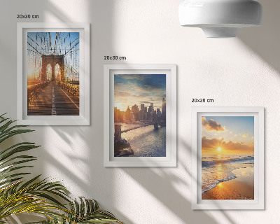 Photo frame wall Bridges and sunsets in the urban landscape