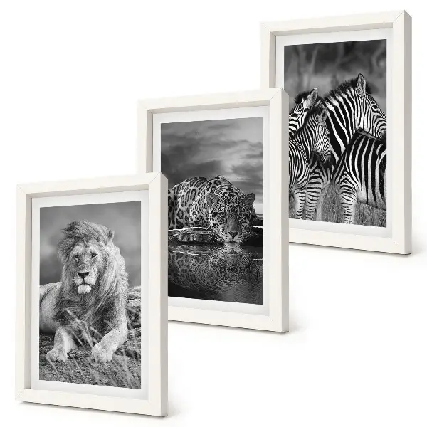 3-piece wall art set featuring a lion, jaguar, and zebra in the savannah