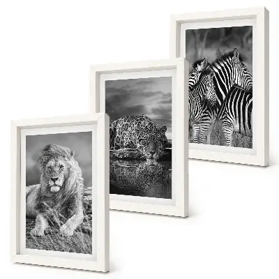 3-piece wall art set Wild animals of the savannah: lion, jaguar, and zebra