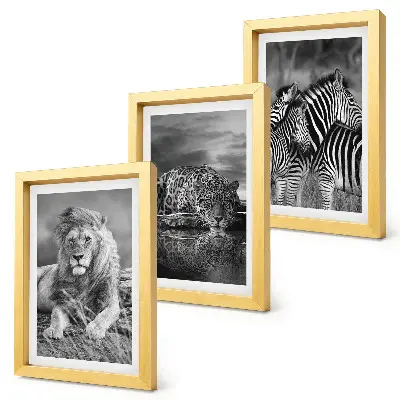 3-piece wall art set Wild animals of the savannah: lion, jaguar, and zebra