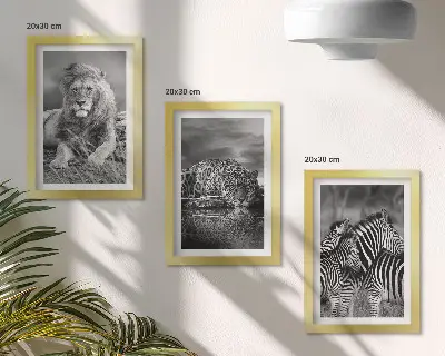 3-piece wall art set featuring a lion, jaguar, and zebra in the savannah