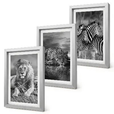 3-piece wall art set Wild animals of the savannah: lion, jaguar, and zebra