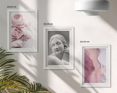 3-piece wall art set Romantic peonies sculpture of a woman abstract