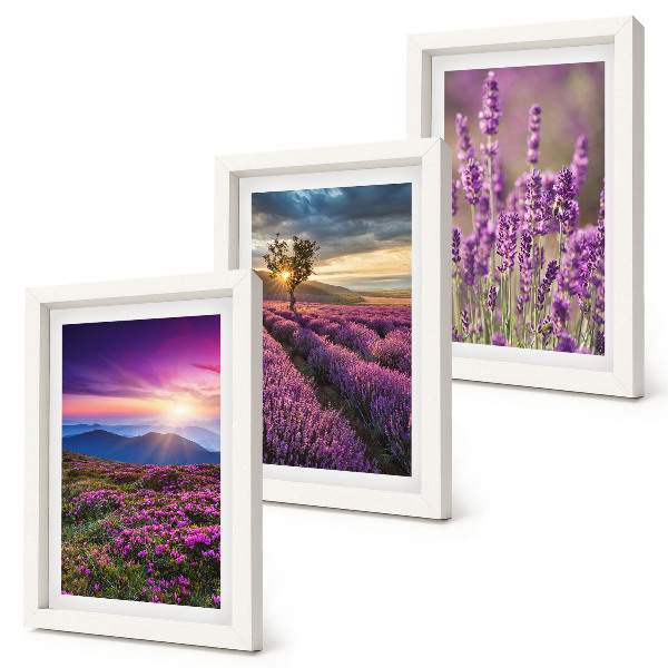 Framed triptych Landscape with lavender fields and sunset