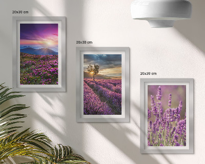 Framed triptych Landscape with lavender fields and sunset