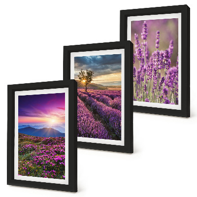 Framed triptych Landscape with lavender fields and sunset