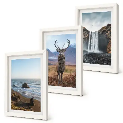 Framed triptych wall art mountain landscapes featuring a waterfall a deer and a beach