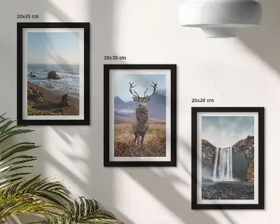 Framed triptych wall art mountain landscapes featuring a waterfall a deer and a beach